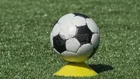 开云体育官网 产品 084542 868